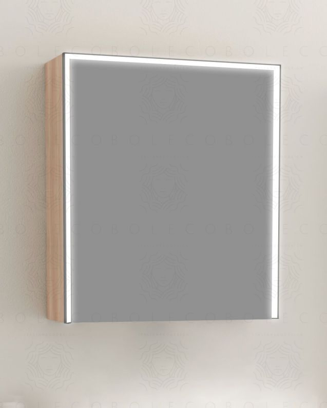Specchio bagno contenitore led 60x70