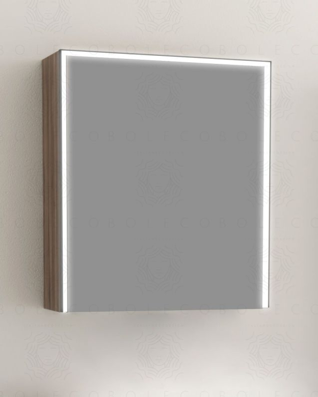 Specchio bagno contenitore led 60x70