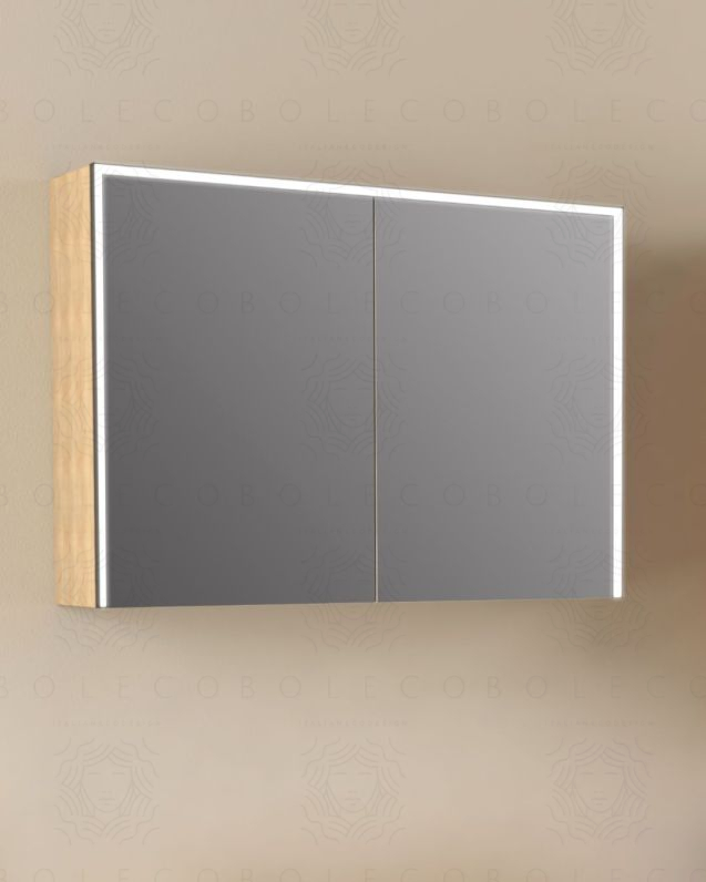 Specchio bagno contenitore led 100x70
